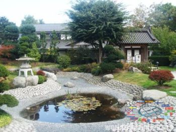 Garden in the Japanese style