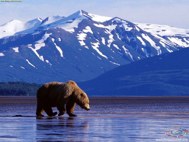The United States, state of Alaska, USA