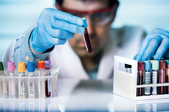 анализы анализы