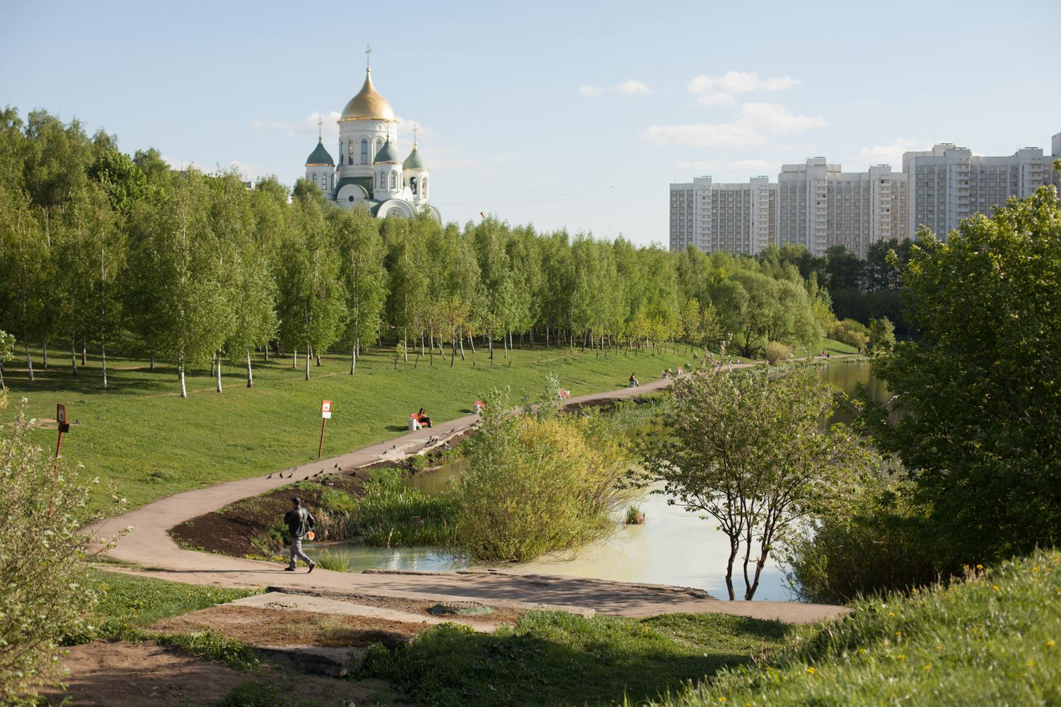 Центральный парк в ясную погоду Центральный парк в ясную погоду
