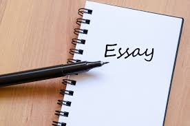 essay