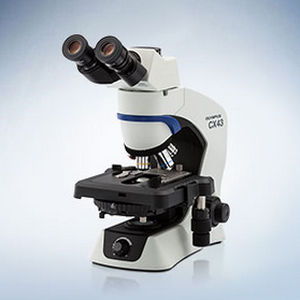 ���������� ���������