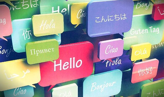 переводчик переводчик