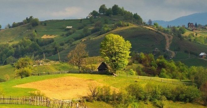 Автобусні тури