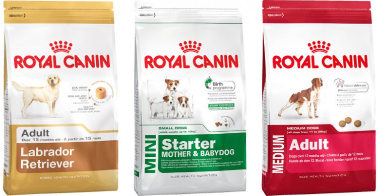 корм для собак royal canin