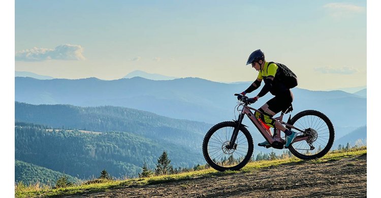 ������� ��������� 