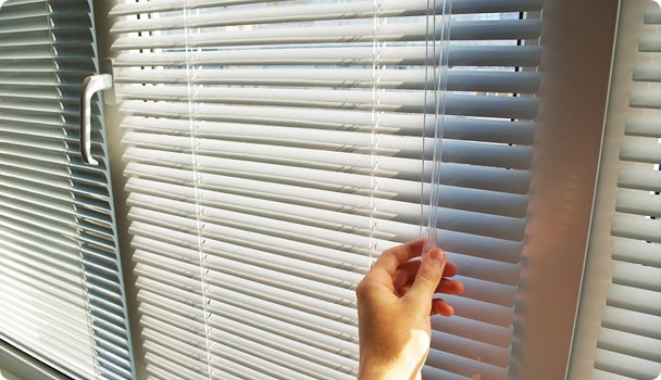 ������ �� ��� ����