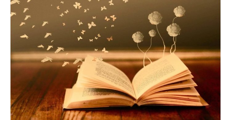 книга во сне