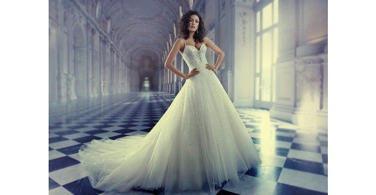  ��������� ������ �� �����