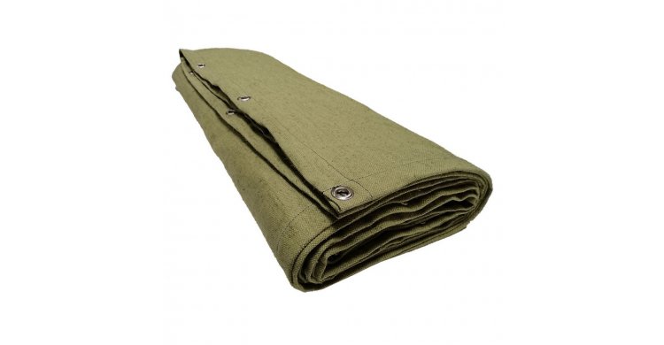 ���� �����������