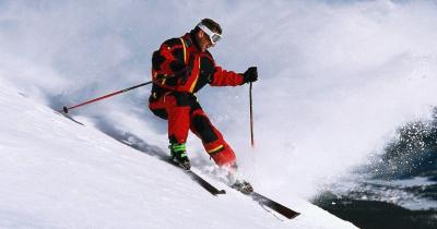 ������ ����