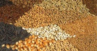 ��� ����� ������� ������� ������