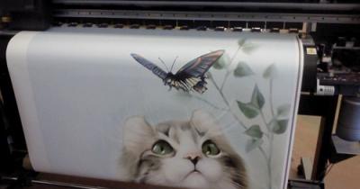 �������� � ����