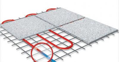 ������ ���