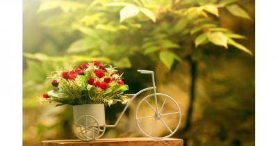 �������� ������