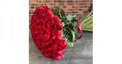 ����� 101 ����