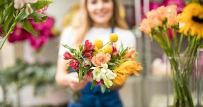 �������� ������