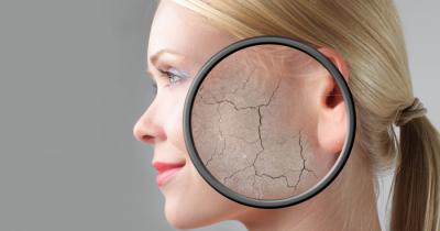 ������ ��������� ����