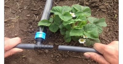 ��������� �����