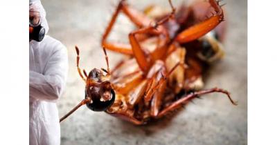 ����������� ���������