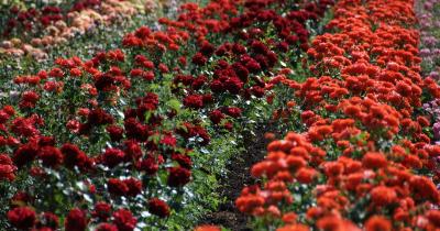 ��� ����� ���������� ������� ���