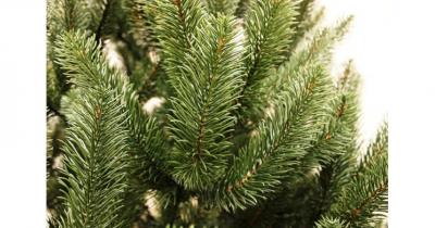 ���������� ���� �� ���