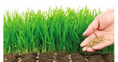 �������� �����