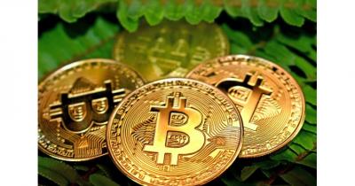 ����������������