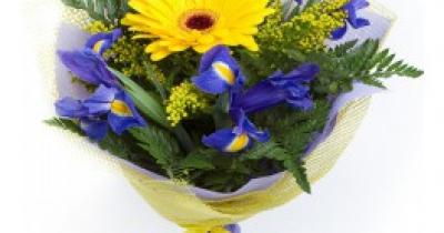 ��� ������� �����: ������������ ������� ���������