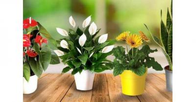 ������������