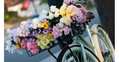 �������� ������