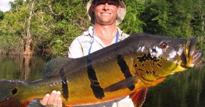 ������� ��� ��� ������