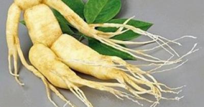 ������ �������� � ������ � ������� �������� �������