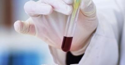 ����������: �������, ������� � �������