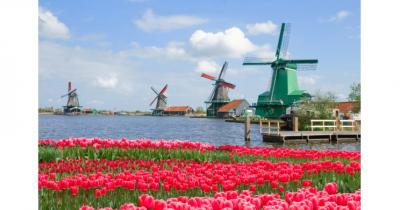 ������ � �����������