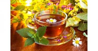 �������� ���