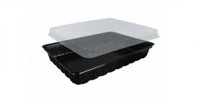 ����������� �������� ��� ����