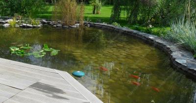 ��������� � ��������������� �� �������������� ��������