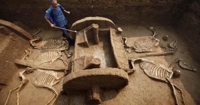 ��� ����� ����������