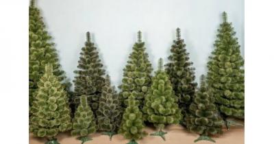 ������������� ���������� ����