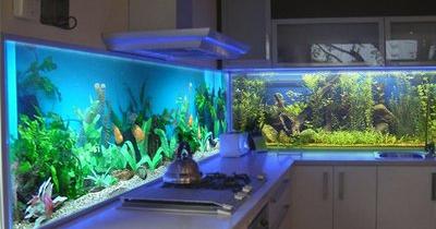 ������� � ��������� ������ ��� ����� �����