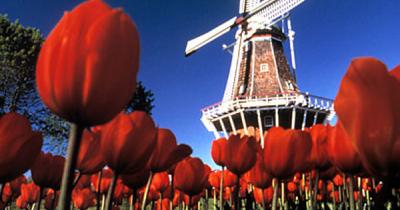 ��� ����� ������ ������� ����������� ����