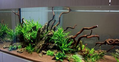 ��� �������� ������� ������������ ����������