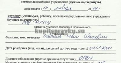 Справка 095 у: общие сведения