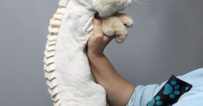 ������� ��� ������