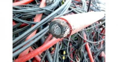 ��� ������