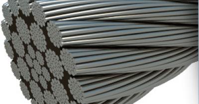 �������� ���� � ��� �������������