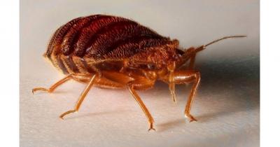 ���������� �����