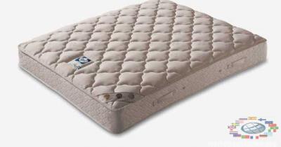 �������������� ������� Dreamline � �� ������������