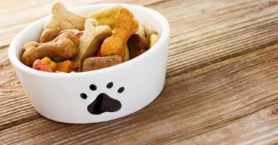 ���� ��� �����